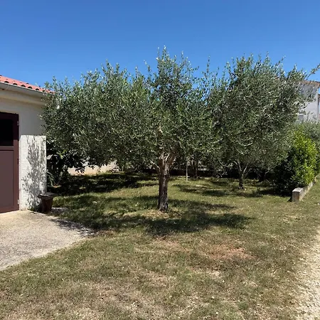 Appartamento Cvitka